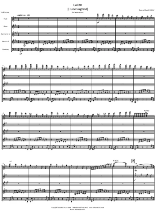 Colibri (Hummingbird)