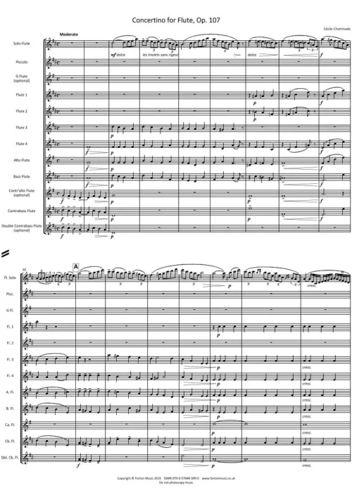 Concertino for Flute Op. 107