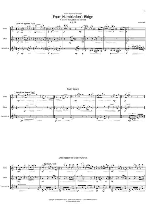 From Hambledon's Ridge