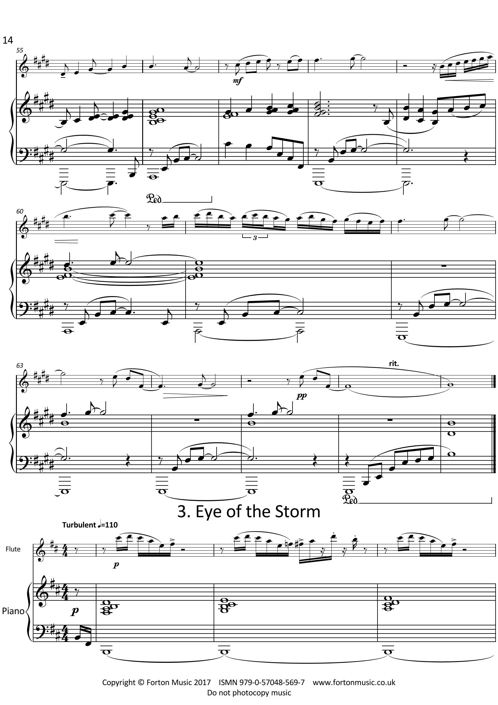 Flights with my Flute