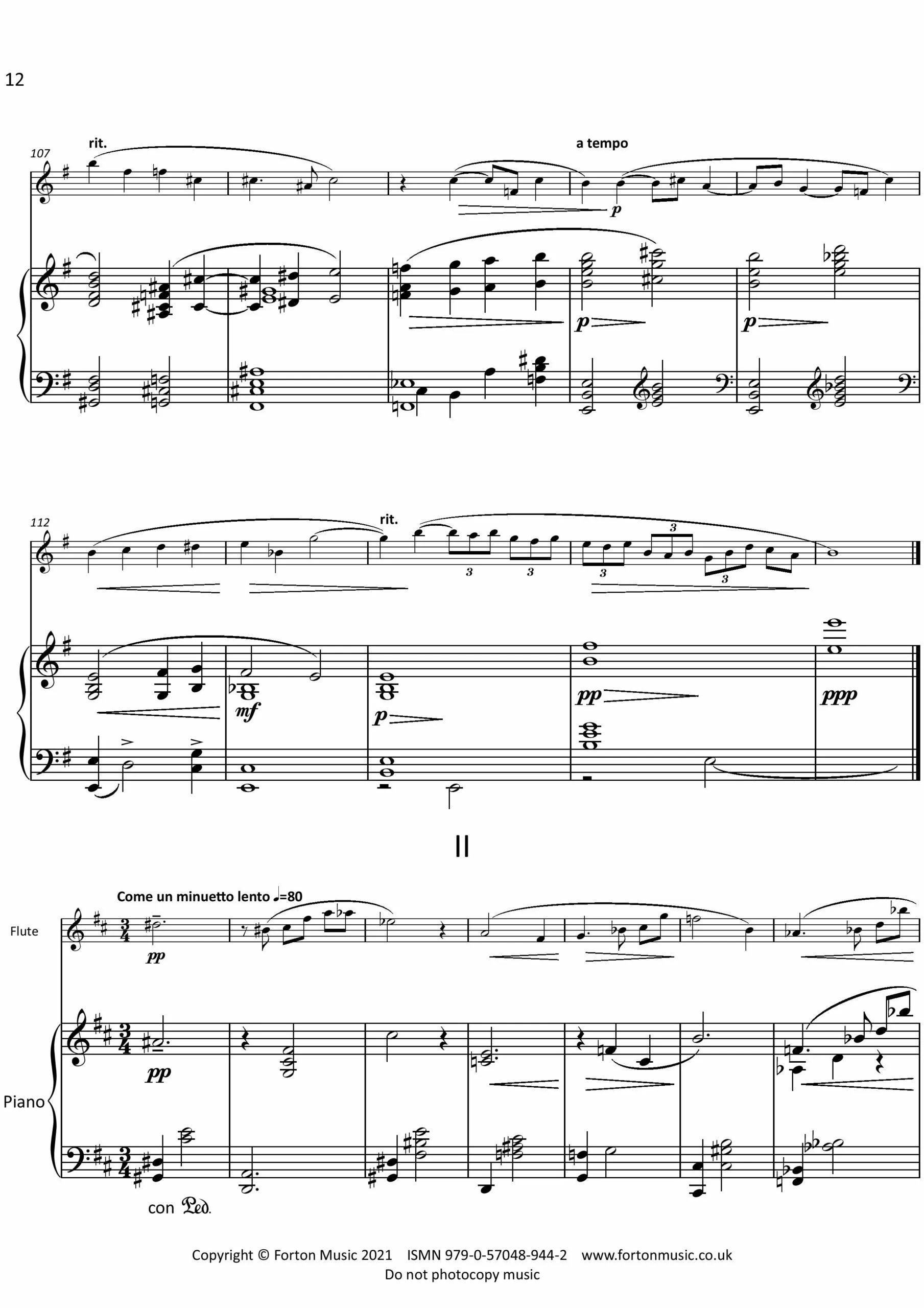 Flute Sonata - Image 3